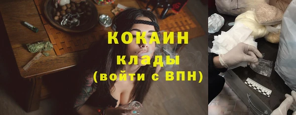 стаф Аркадак