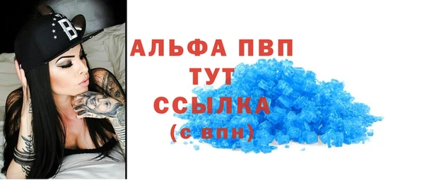 стаф Аркадак