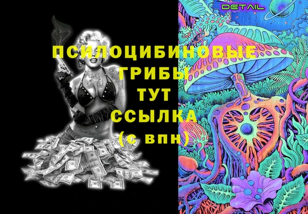 стаф Аркадак