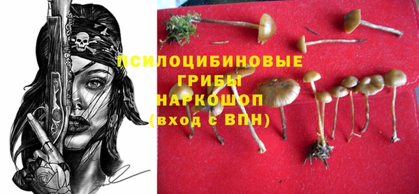 таблы Арсеньев