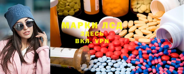 стаф Аркадак