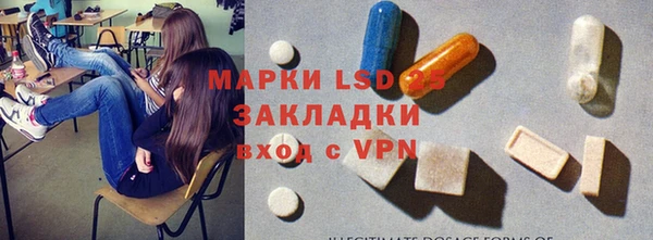стаф Аркадак