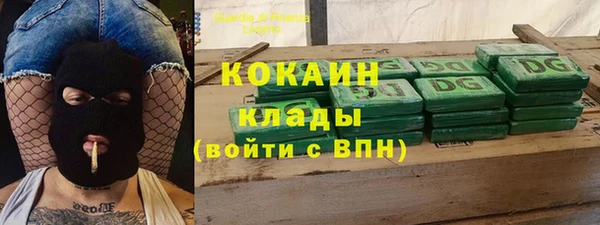 крисы Покачи