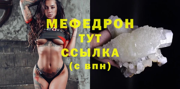 стаф Аркадак