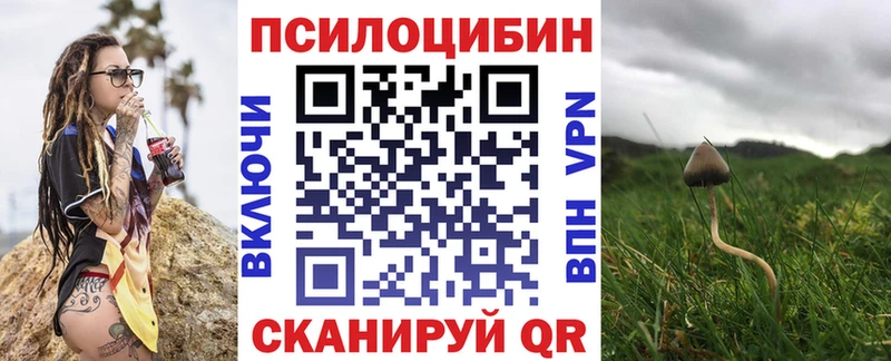 Псилоцибиновые грибы Psilocybine cubensis  мориарти клад  Краснотурьинск 